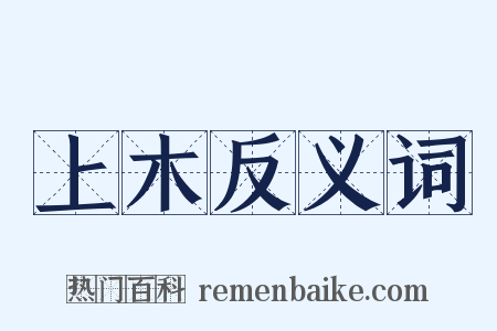 上木反义词是什么意思的图片